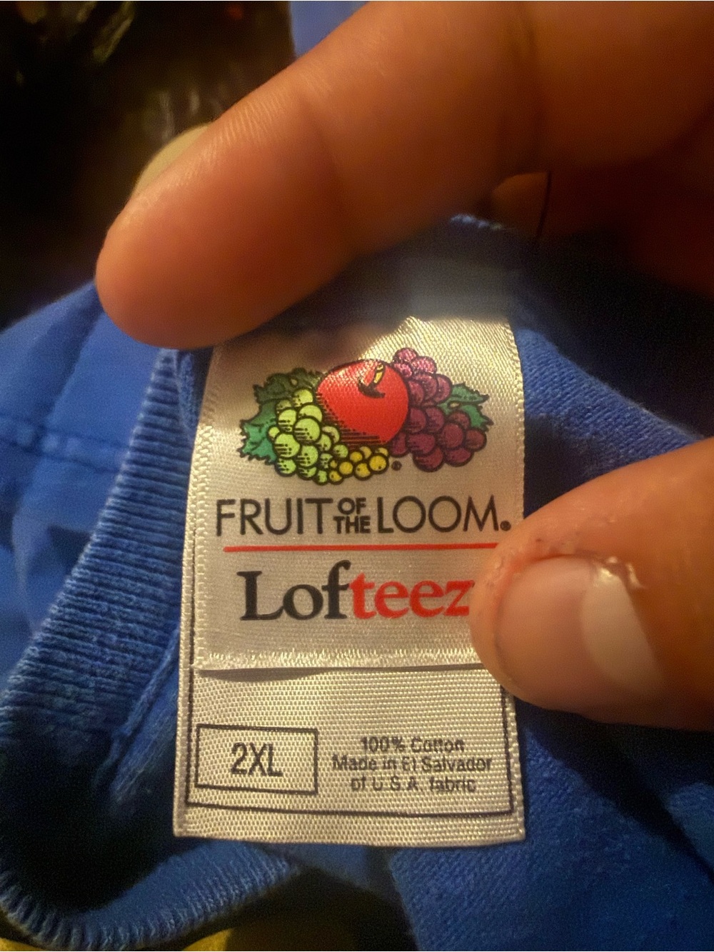 Fruit of the Loom Blue Short Sleeve Tee with Multicolored Fruit Logo Tag